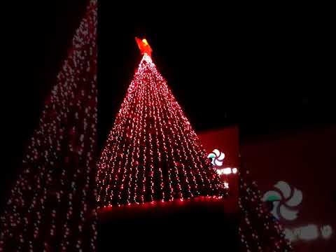 2/12/2023 Dicicbre VLGMAS#4  ciudad Mier Tamaulipas encendido de pino navideño