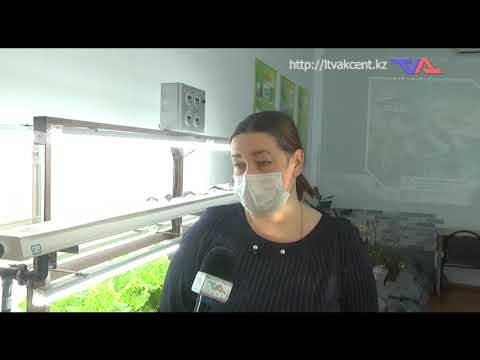 «Күн» ақпараттық бағдарлама 9 ақпан 2022ж.