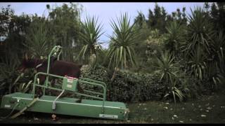 Teaser Poitiers Film Festival #3