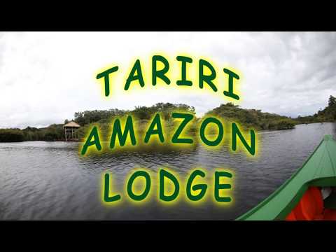 TARIRI AMAZON LODGE EXPERIENCE