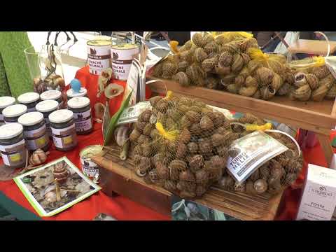 Mondovi, "Cavoli tuoi" - SERVIZIO TELEGRANDA (CH 186)