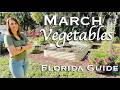 What To Plant In March In Florida Vegetable Garden Guide