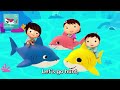 Bebefinn Baby Shark But Little Baby Bum