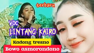 Download lagu KADONG TRESNO bowo ASMORONDONO voc.. LINTANG KAIRO terbaru gayeng pooll.. @Koncobudoyoofficial mp3
