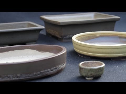 Bonsai pots