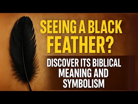 Seeing a Black Feather Discover Its Biblical Meaning and Symbolism