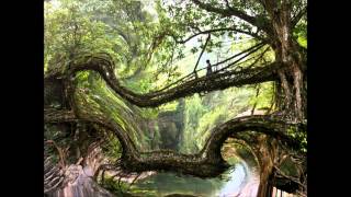 White Wizard &amp; Farebi Jalebi - Mitre Mandal