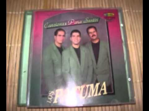 LA CASA NUEVA  LOS PATUMA