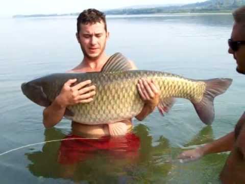 Operatiunea Monstrul-Eliberarea