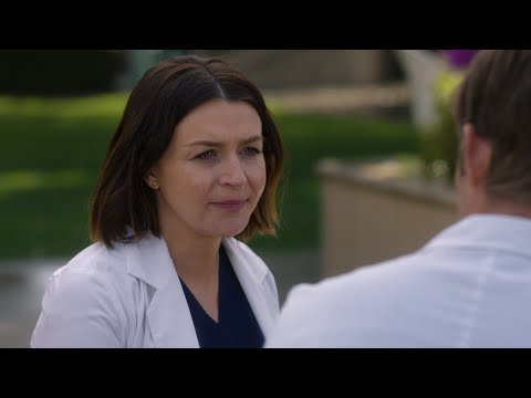 Amelia Tells Link That He May Not Be the Father - Grey's Anatomy