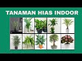 Hangat INSPIRASI TANAMAN HIAS INDOOR, terupdate!