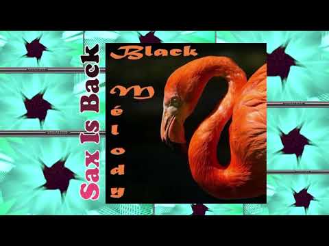 Marlena Shaw (Feat.Tony, Paco & Akhenaton) - Life + Rod Temperton - Super Soul Sisters