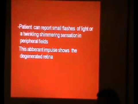 2011 Retinitis Pigmentosa Association - Holland Part4