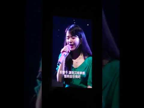 171125 IU Tour Concert "Palette" in Hong Kong - Knees