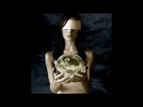 238 video