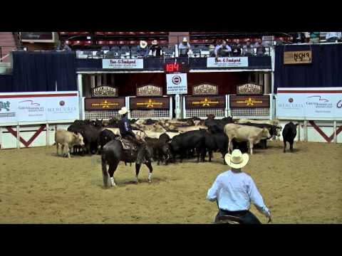 Reyzin The Cash and Gary Gonsalves - 2015 NCHA Summer Spectacular Open Champions