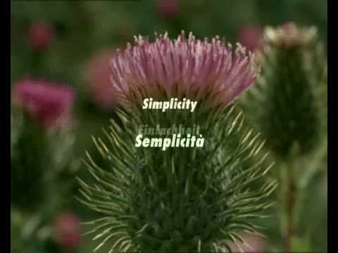 PresentazioneAziendale