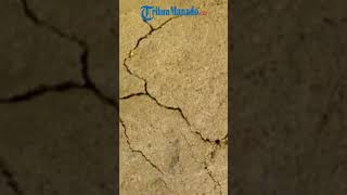 Download lagu GEMPA DI WILAYAH SULAWESI UTARA 5 NOVEMBER 2025 mp3 Download lagu GEMPA DI WILAYAH SULAWESI UTARA 5 NOVEMBER 2025 mp3