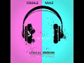 Shape Of You Dual Audio Female Version Male Version Lyrical Kingdom Trending WhatsApp Status