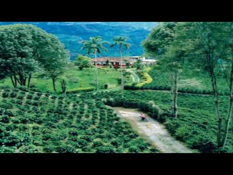 SIN RUMBO VOY EL DUETO DANUBIO CARRILERA SIN ANIMO DE LUCRO