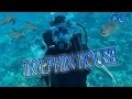 Bolto taucht | Tauchen im Dolphin House | Ägypten | Tauchgang Nummer #1, DIVE TEAM Hurghada, Ägypten, Hurghada