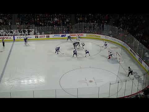 Laval Rocket's Kevin Poulin makes a nice glove save vs. Toronto Marlies' Semyon Der-Arguchintsev