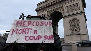 Hunderte Landwirte protestieren in Paris gegen EU-Mercosur-Abkommen und Billigimporte