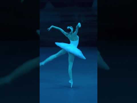 Bolshoi Prima ballerina Alena Kovaleva