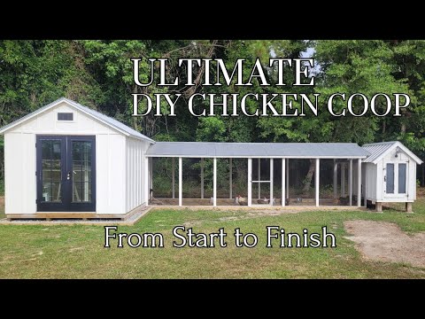 Ultimate DIY Chicken Coop Build from start to finish