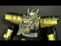 TJ Reviews DX Pteraiden Oh