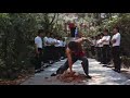 The Black Dragon S Revenge Feat Ron Van Clief