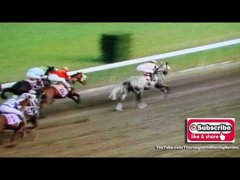 1974 Florida Derby Cannonade, Judger & Little Current