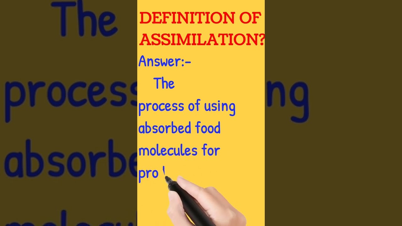 What is assimilation very short answer?