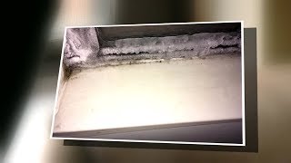 Mold, ice on inside of windows of local apartment complex sparks complaints