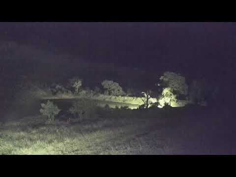 Djuma: Sights and sounds as rain storm comes in - 01:57 - 11/06/20