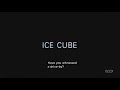 Ice Cube How To Survive In South Central Official Radio Edit Alternative Version RARE Incomplete