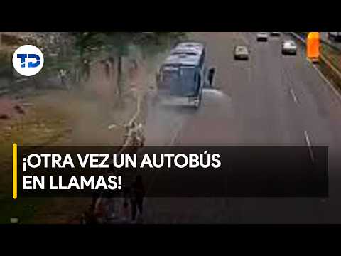 Unidad de Lumaca se incendia frente a Terramall en Cartago