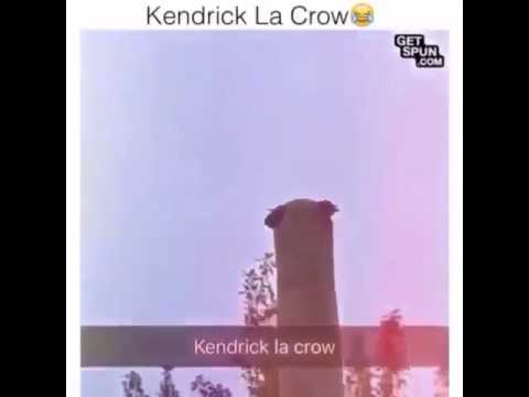 m.A.A.d city - Kendrick Lamar meme