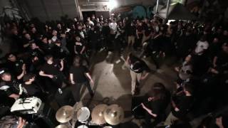 Reason's - Shattered Mirror