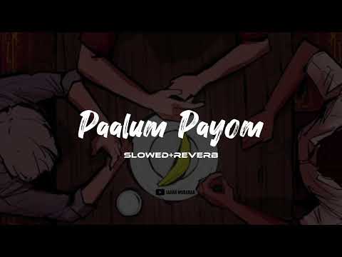 paalum payom slowed+reverb | Joker Lil Payyan MHR | Lofi Cover | Jahan Mubarak