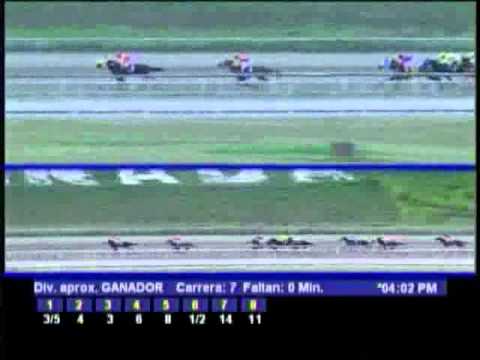 Clásico Hylander 2012 - La Rinconada