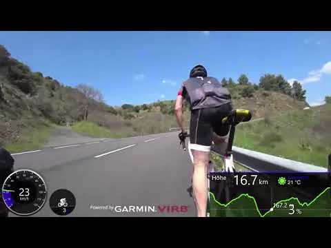 Consectetur aliquam 1005427