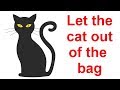 Idiom origin-let the cat out of the bag