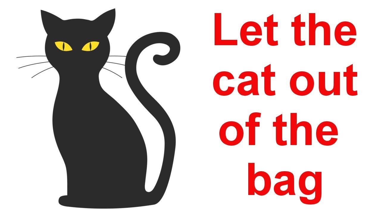 Idiom origin-let the cat out of the bag