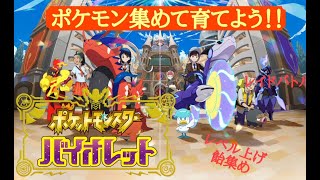 【ポケットモンスターバイオレッド】時間がなくて今更ながらレイドバトルで使うポケモンを育て上げよう！[視聴者参加型]※レイドバトル潜りたい