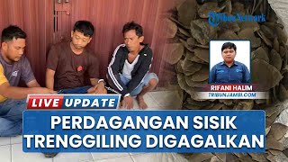 Polresta Jambi Gerebek Perdagangan 10 Kg Sisik Trenggiling, Berasal dari Tanjung Jabung Timur