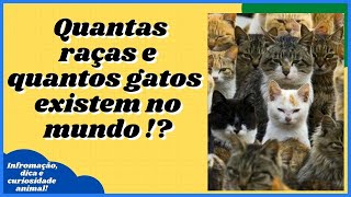 [Veja Dicas, Curiosidades e Informaes Sobre Animais de Estimao] #shorts