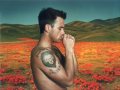 Robbie Williams - Won't Do That [Reality Killed The Video Star]  ALBUM VERSION
