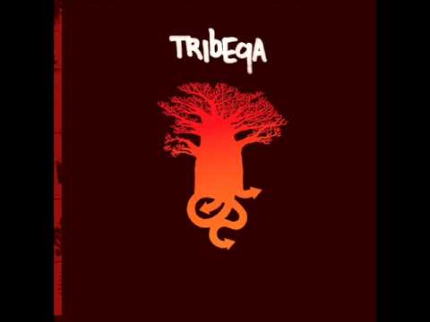 Tribeqa - Sun