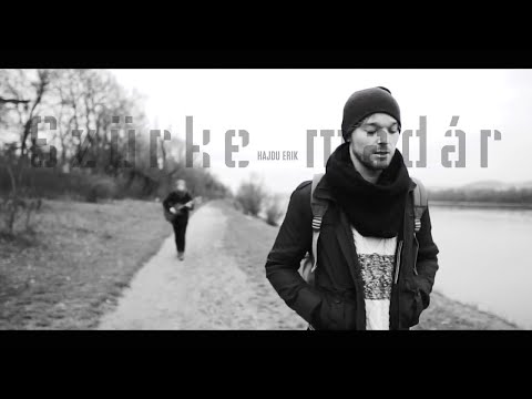 Hajdu Erik - Szürke madár (A DAL 2021)